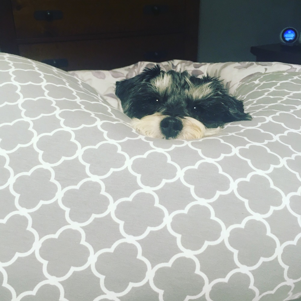 Meet your Posher, Samantha